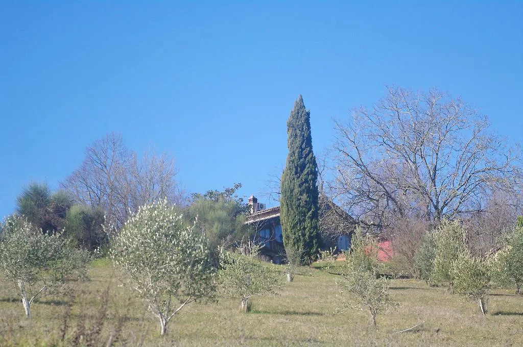 Vila La Casa Sopra Le Nuvole Medesano Itálie